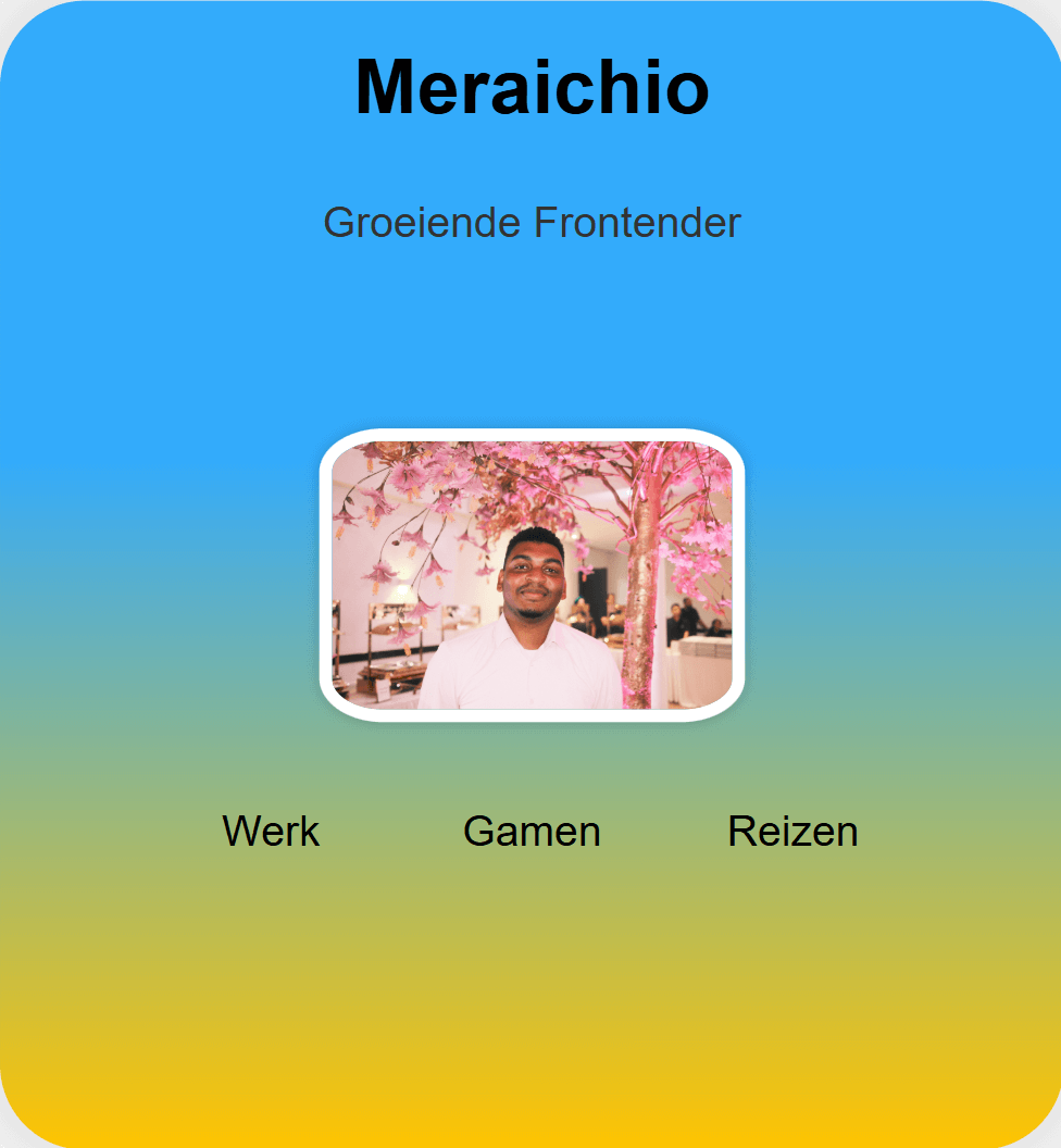 Visitekaartje Meraichio